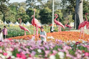 BIB: 
                            <button type="button" onclick="openModal(27344272)" class="btn btn-primary btn-sm float-right btn-popup" data-toggle="modal" data-target=".modal-high-quality">
                        <i class="fas fa-shopping-cart"></i> Add to Cart
                    </button>
                                            <button type="button" onclick="isThisMe(27344272, true)" class="btn btn-success btn-sm float-right btn-popup btn-isme hidden" data-toggle="tooltip" data-placement="bottom" title="นี่คือรูปของคุณใช่ไหม คลิกที่นี่เพื่อเอาเข้าอัลบั้ม">
                        <i class="fas fa-plus"></i> Add to album
                    </button>
                    <button type="button" onclick="isThisMe(27344272, false)" class="btn btn-warning btn-sm float-right btn-popup btn-isnotme hidden">
                        <i class="fas fa-ban"></i> Remove from album
                    </button>